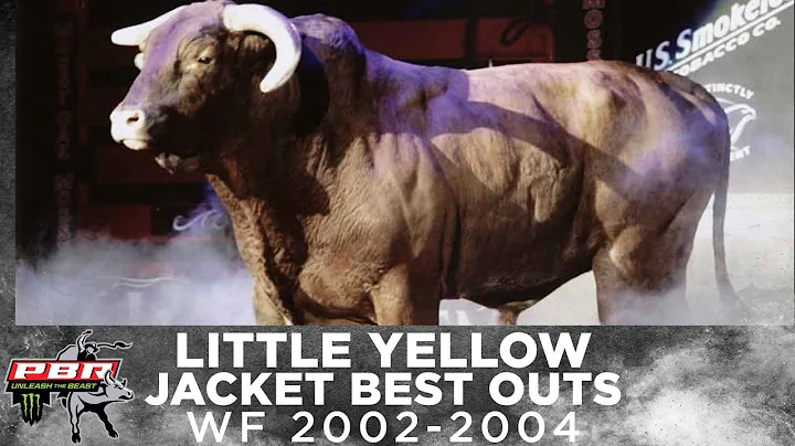 THE FIRST EVER 3X WORLD CHAMPION BULL: Little Yellow Jacket