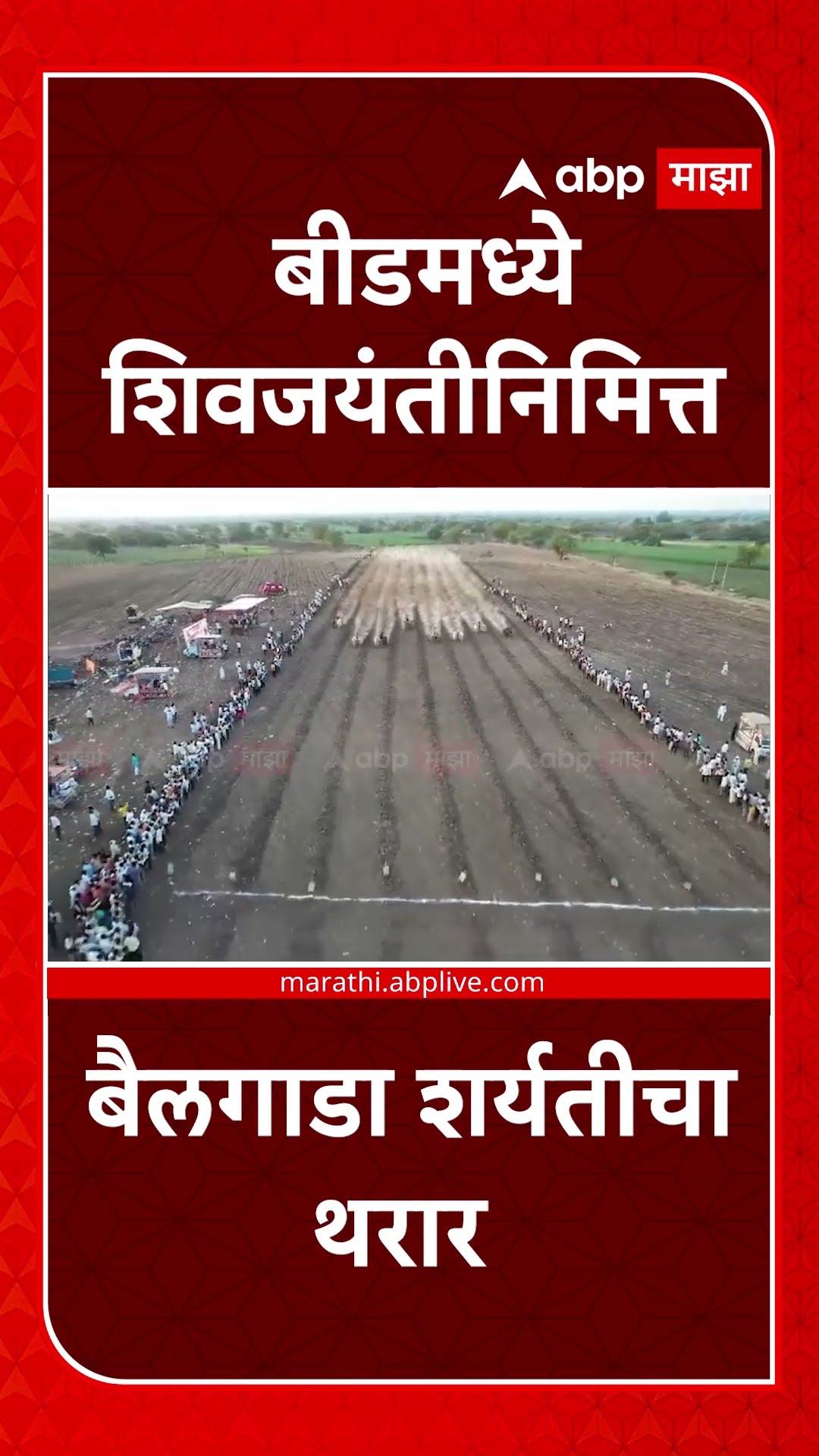 Shivjayanti 2025 Beed : बीडमध्ये शिवजयंतीनिमित्त बैलगाडा शर्यतीचा थरार VIDEO