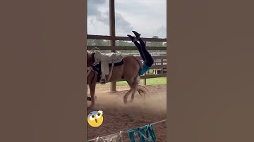 nganbangRIVIEWnhạc-tiểuphẩm Xiếc với ngụa..