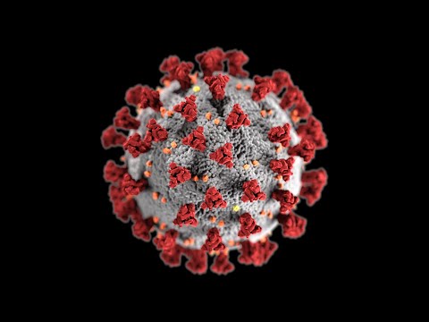 how-serious-is-the-coronavirus?-i-nova-i-pbs