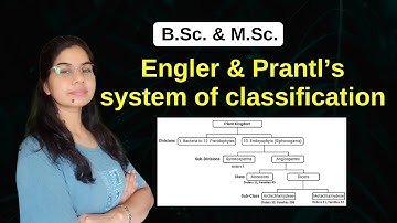 Engler & Prantl’s system of classification || B. Sc. & M. Sc.