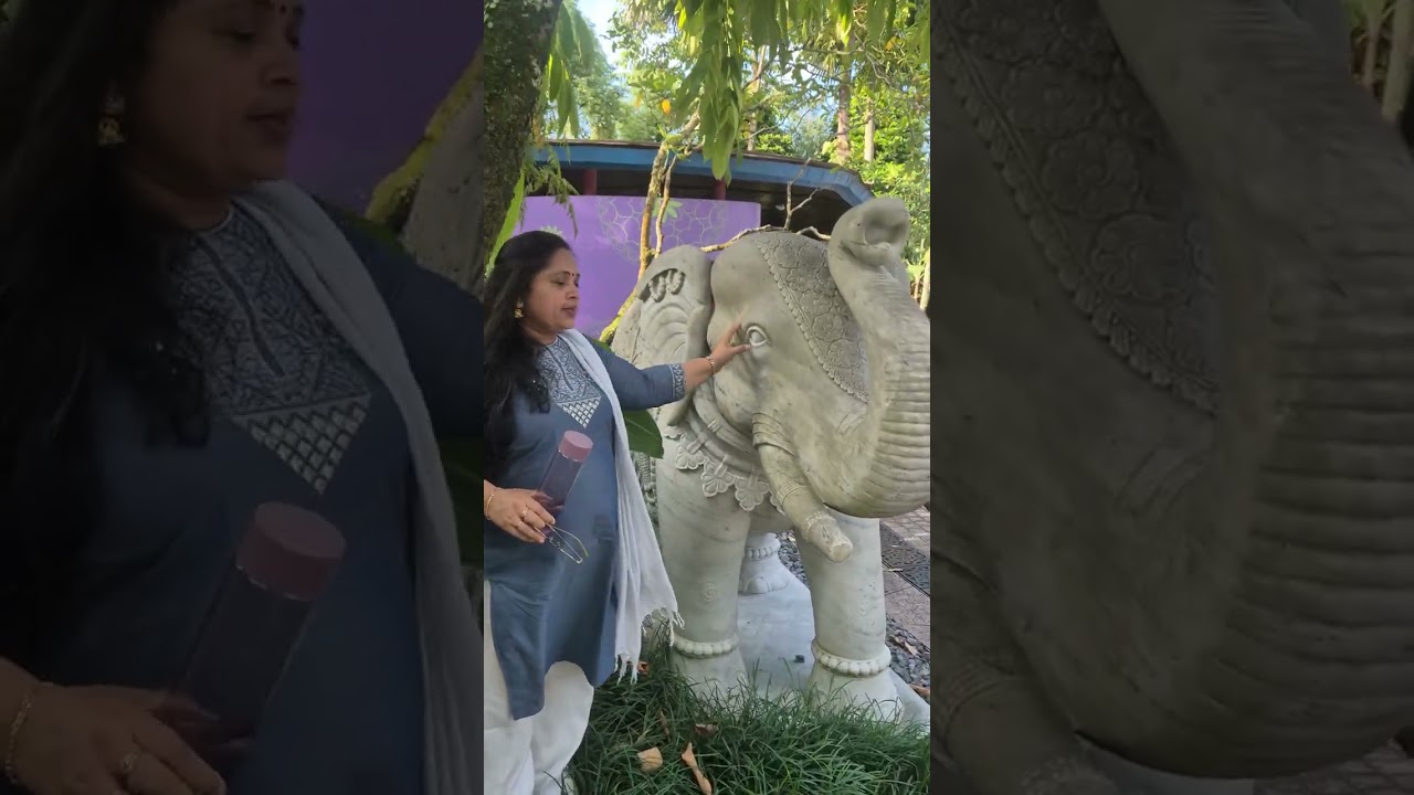 Китайский сад 