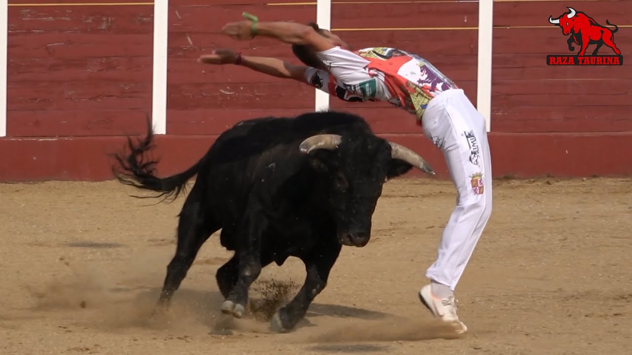 Segunda semifinal Campeonato de Cortes de Castilla y León. Fresno el Viejo. 29 Agosto 2021