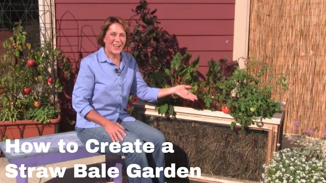 How To Create A Straw Bale Garden Youtube