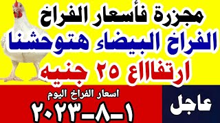 اسعار الفراخ اليوم| سعر الفراخ البيضاء اليوم الثلاثاء 1-8-2023 في مصر جمله وقطاعي