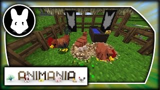 Animania: Chickens! Bit-by-Bit for Minecraft 1.11.2!