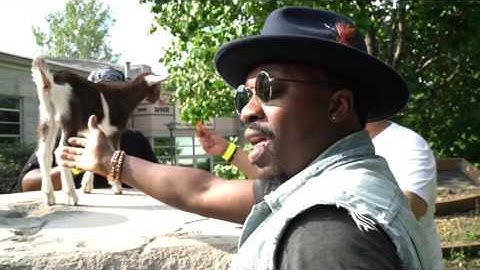 Thumbnail of Anthony Hamilton and The Hamiltones - Whose Billy Goat is This?