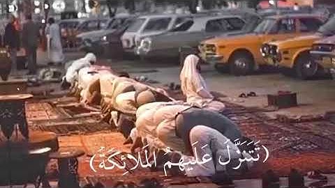 جـزء من سورة |فُصّلت|