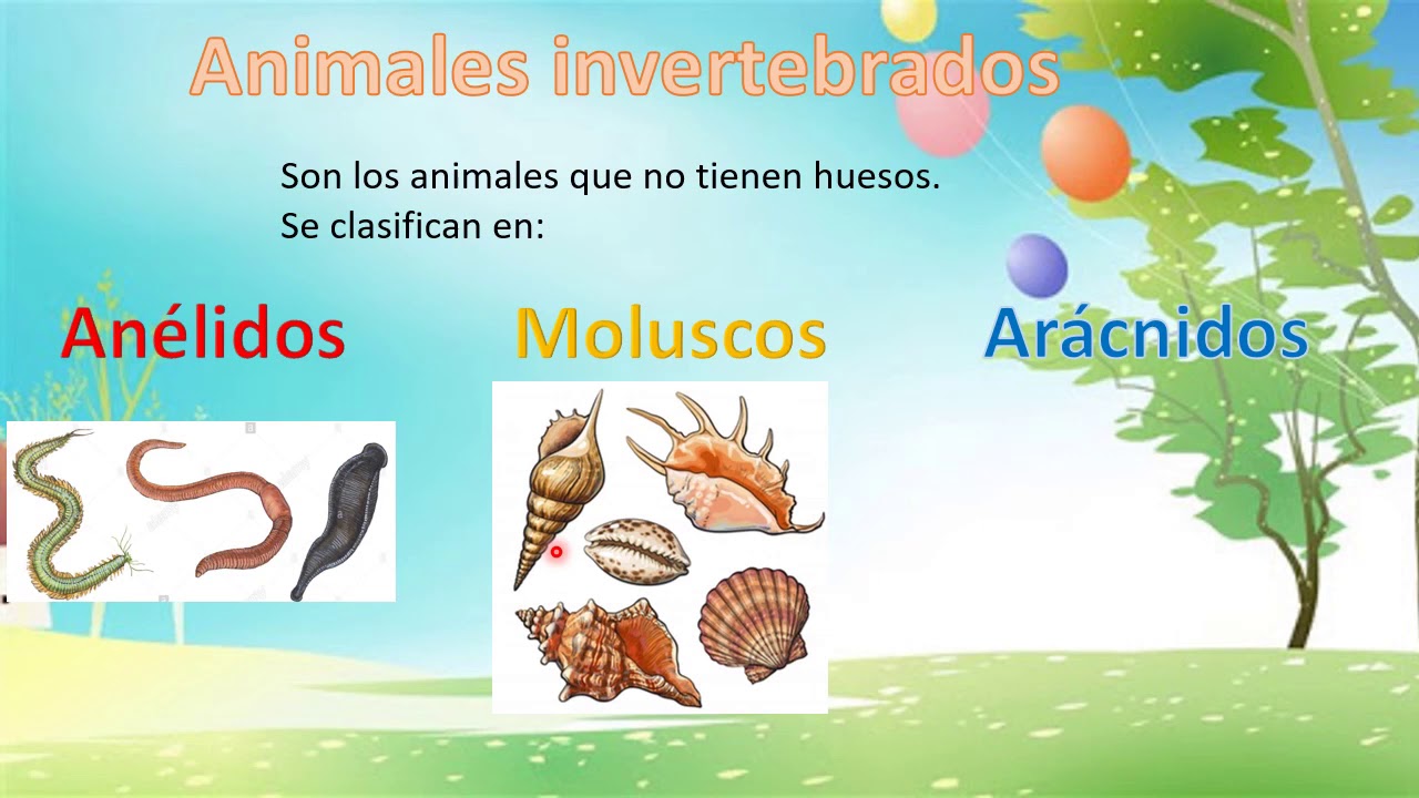 Diferencia entre animales vertebrados e invertebrados