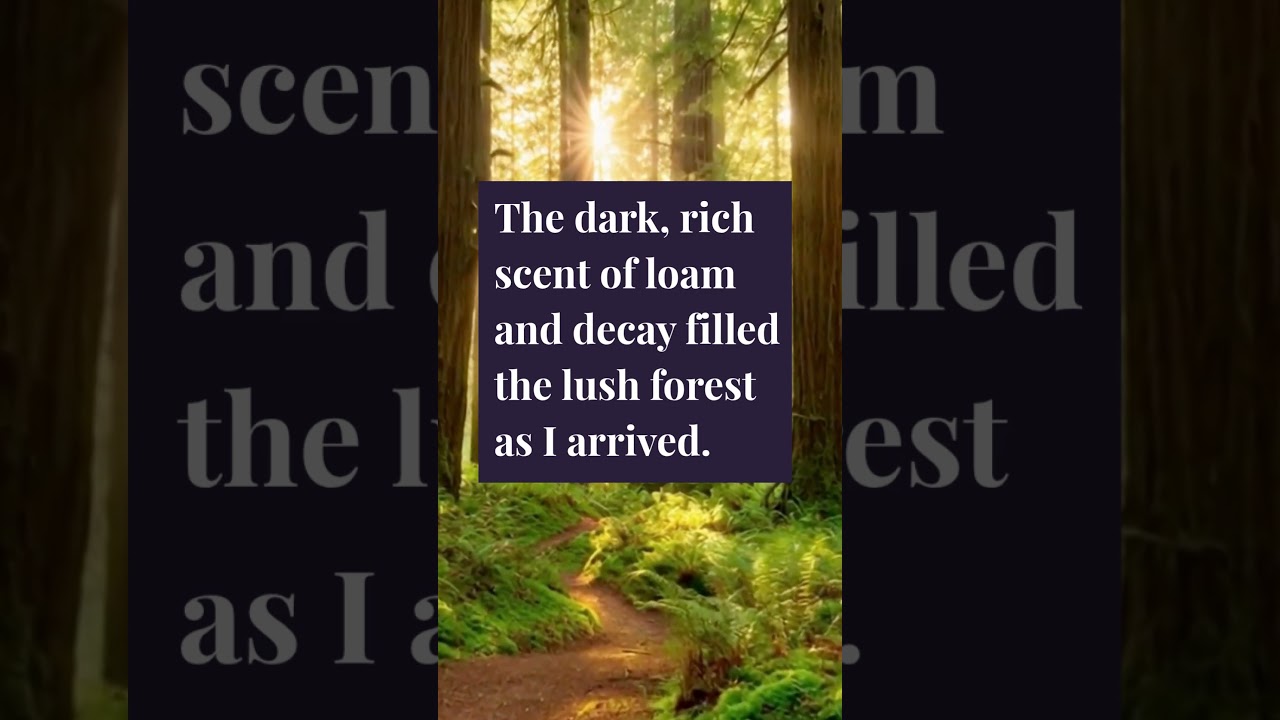 Fairy Tales and Nightmares #darkfairytales