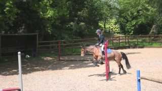 FIRST SHOW {Jumping-2ft}