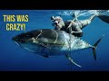 Canary islands epic tuna spearfishing 4k