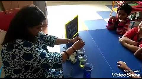 Colour changing flower. ( Stem Activity )