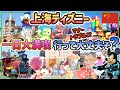 【上海ディズニー】オススメできる？できない？いろいろ凄かった一日