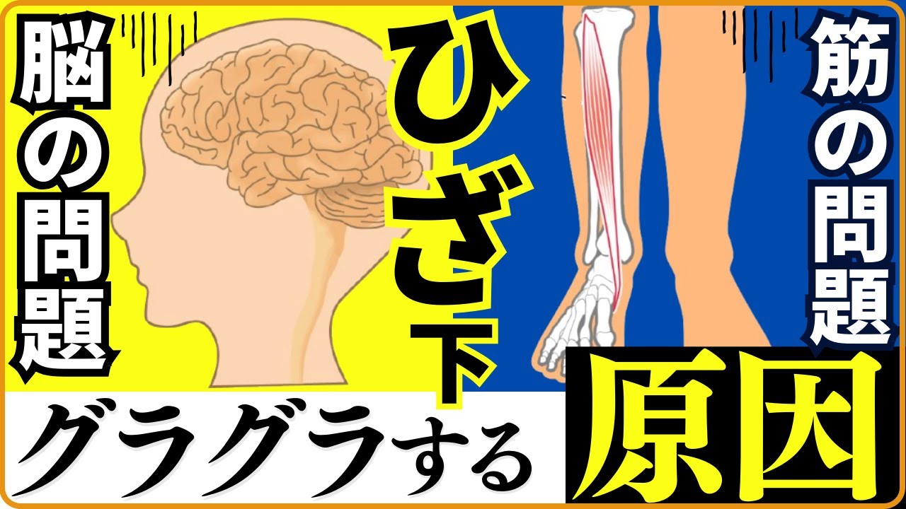 【脊髄小脳変性症】立ち上がる時にひざ下が揺れてしまう・2つの問題を解決する自主トレ・高橋さんのご質問No1