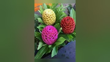 قراءة من سورة الشعراء الآيات (1-110) بصوت الشيخ صلاح بو خاطر