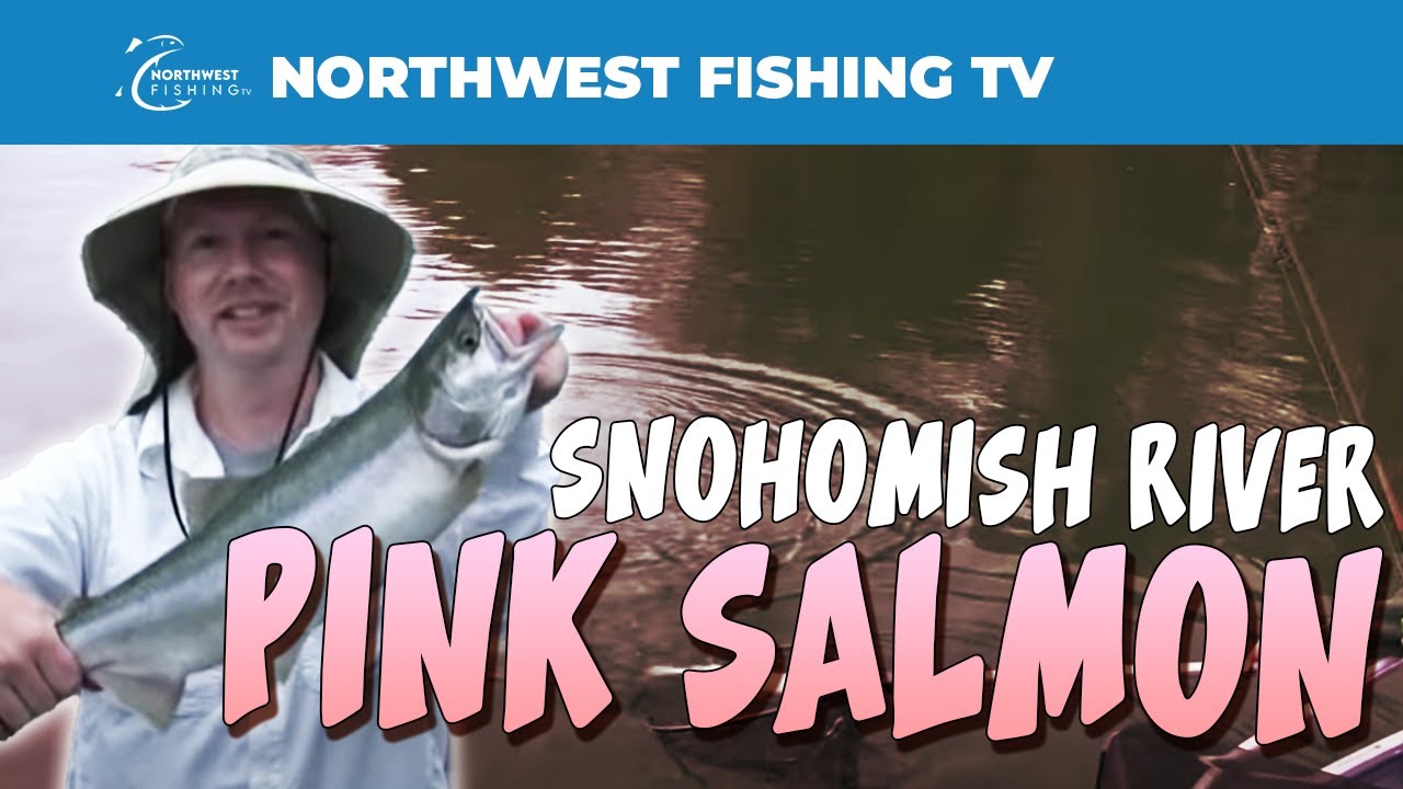 Snohomish river fishing report 2015