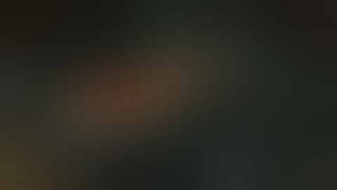 CSI: Crime Scene Investigation: Deadly Intent Nintendo Wii