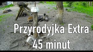 Przyrodyjka extra 45 minut