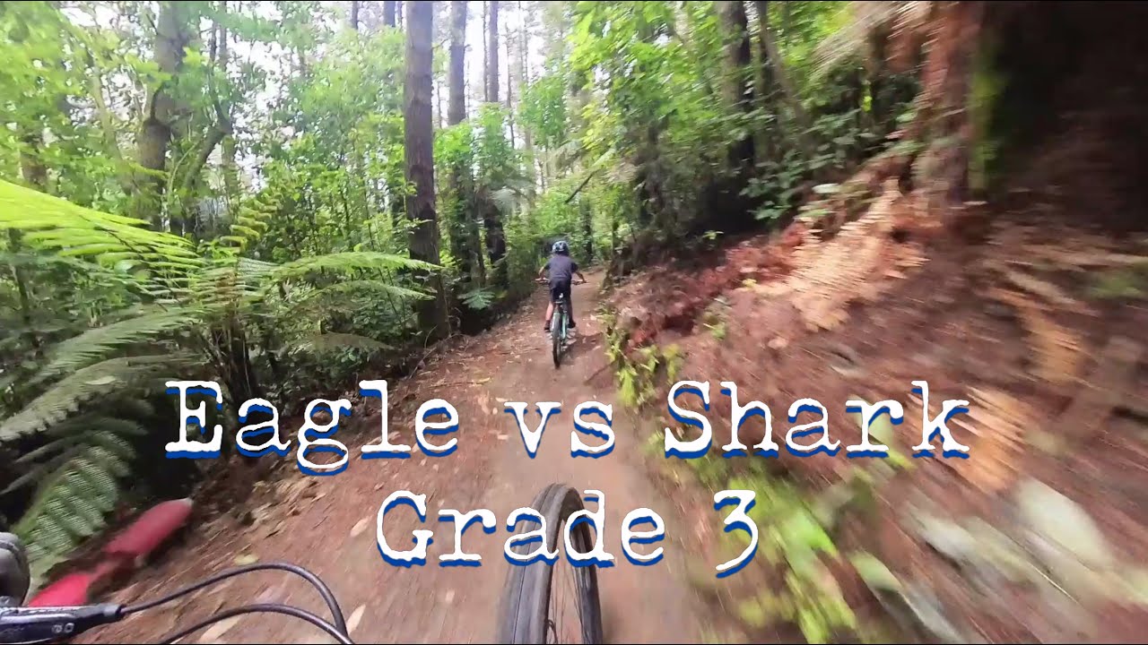 Eagle vs Shark Grade 3 [7 year old shredding it on EVS, Redwoods] - YouTube