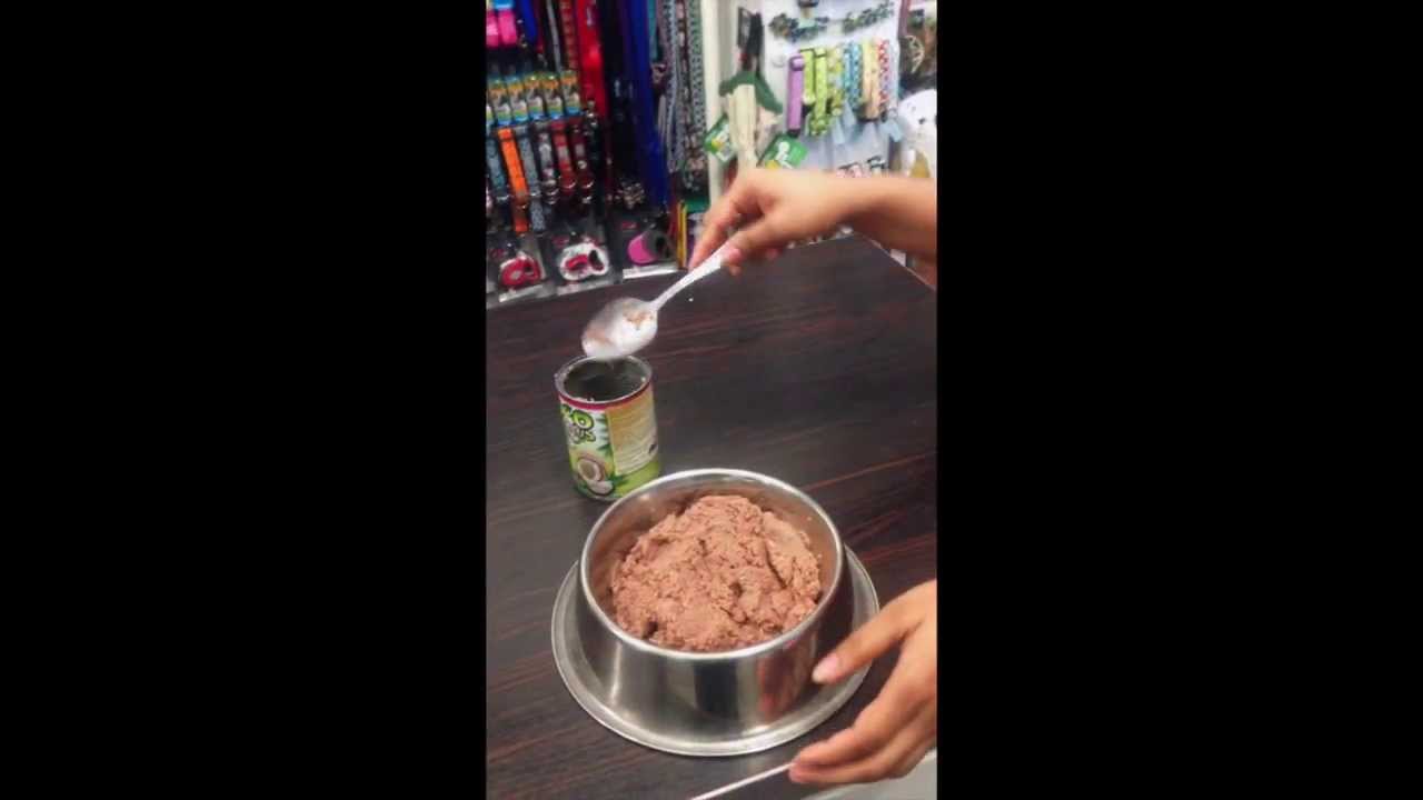 cocolicious dog food