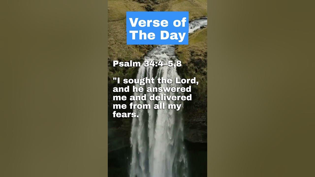 finding-strength-and-comfort-in-god-psalm-34-4-5-youtube