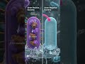 Difference Between Gram Positive & Gram Negative Bacteria 🦠🧫