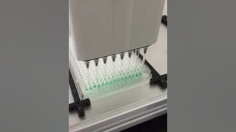 384 Well Plate Opentrons Video