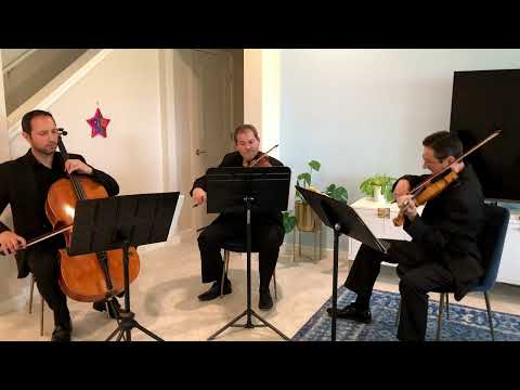 Sunset Strings' string trio performs Harvest Moon by Neil Young