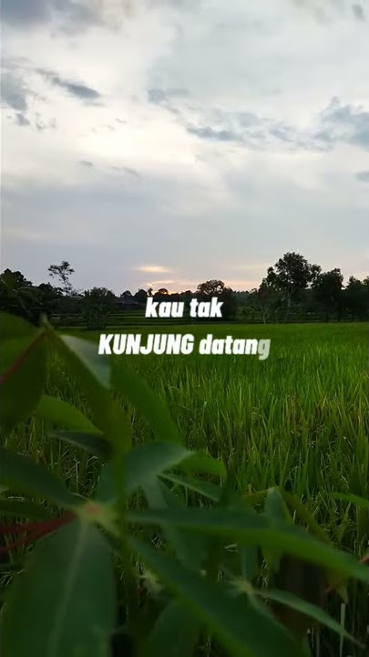 Status WA Kau Tipu Aku - Kangen Band
