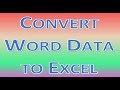 Convert Word Data to Excel