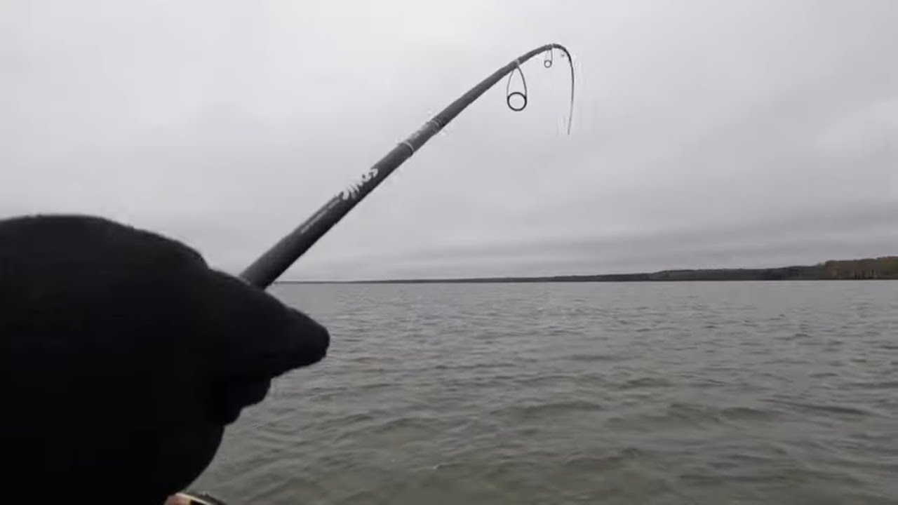 Ловля СУДАКА осенью на ДЖИГ! Рыбалка на ЯУЗСКОМ вдхр! Сезон закрыл, но ...