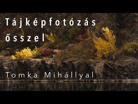 Videó: Hogyan Főzzünk Tonhalat