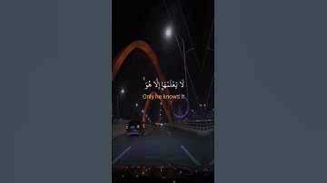#القارئ محمود الشحات