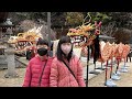 舊曆年初一去神社竟遇上舞龍｜旧暦の元日に初詣に行ったらまさかの龍踊りに出会った★奈華