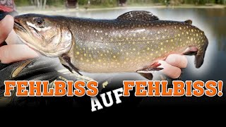 Forellenangeln bei WILD | Fehlbisse des Grauens