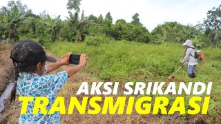 AKSI SRIKANDI TRANSMIGRASI ASAL PACITAN DI KALIMANTAN UTARA