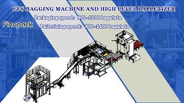 FFS Bagging Machine And High Level Palletizer-Finopack