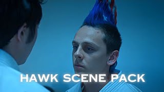 Hawk Moskowitsz Twixtor 4K S3 S6 P2 S6 P3