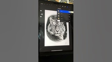 Picture to stencil using procreate app