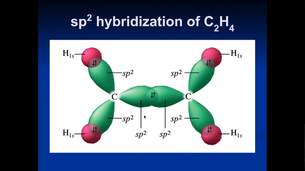 Hybridization Periodic Table