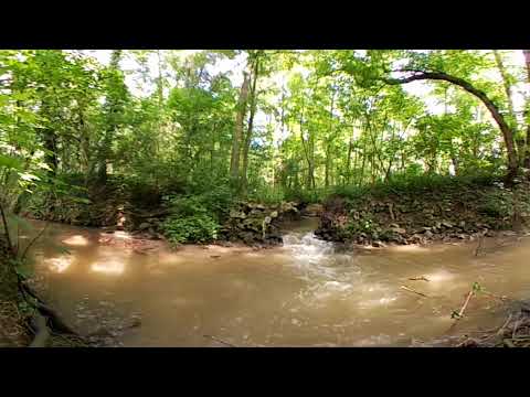 Nature in 360: 5 minutes at the river 
