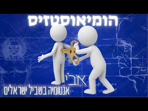 וִידֵאוֹ: מה המשמעות של מנגנון מעבדה?