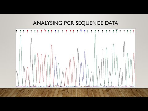 Processing PCR sequence reads (.AB1 files)