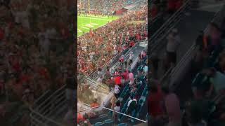 College Football Fans Catch Falling Cat With American Flag