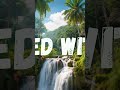 #relaxing #music  #relax #meditationaid #nature #stressrelief #relaxingmusic #20