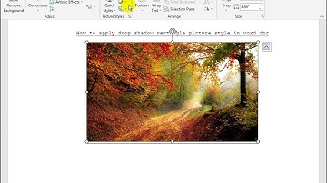 How to apply drop shadow rectangle picture style in word doc