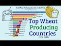 Top Wheat Producing Countries in the World (1996 - 2020)