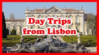 5 Top-Rated Day Trips from Lisbon, Portugal | Europe Day Tours Guide