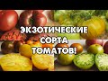 5 ЭКЗОТИЧЕСКИХ И ВКУСНЫХ СОРТОВ ТОМАТОВ!